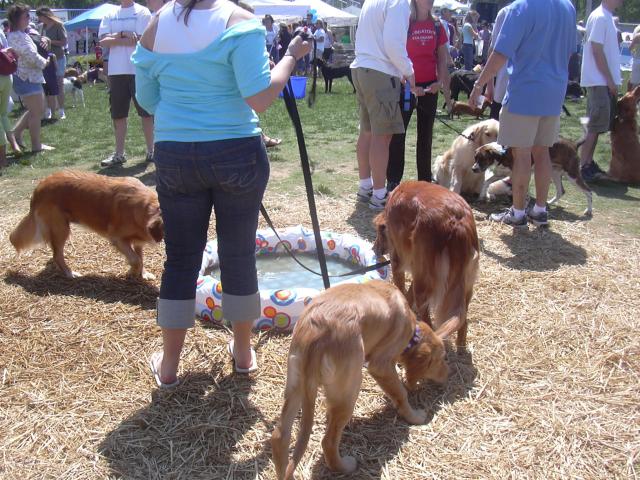 /images/events/1/BARK IN THE PARK 2007 007.jpg